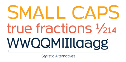 Neue Theorem Font Poster 14