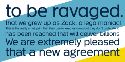 Neue Theorem Font Poster 4