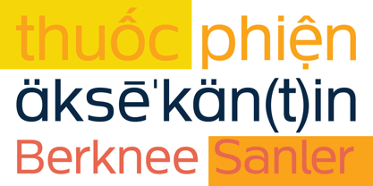 Neue Theorem Font Poster 11