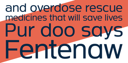 Neue Theorem Font Poster 8