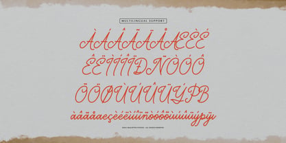 Marylona Font Poster 11