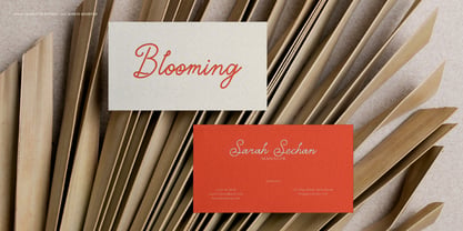 Marylona Font Poster 9