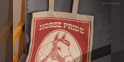 Horse Speed Font Poster 7