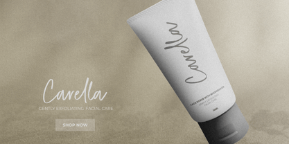 Dellmonte Font Poster 5