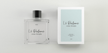 Dellmonte Font Poster 6