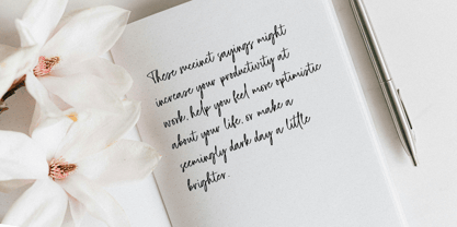 Dellmonte Font Poster 7