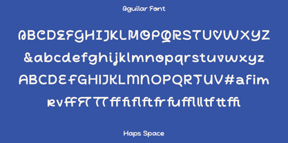 Aguilar Playful Display Font Poster 11