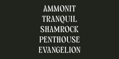 HS Callgrim Serif Display Font Poster 5