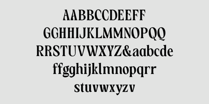 HS Callgrim Serif Display Font Poster 4