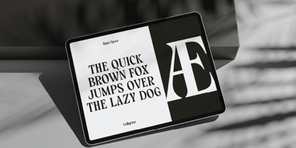 HS Callgrim Serif Display Font Poster 14