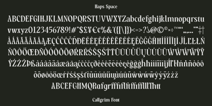 HS Callgrim Serif Display Font Poster 13
