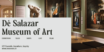 HS Callgrim Serif Display Font Poster 11