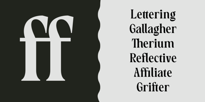 HS Callgrim Serif Display Font Poster 3