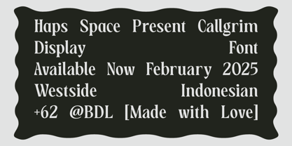 HS Callgrim Serif Display Font Poster 2