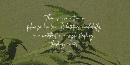 Sesoress Signature Font Poster 7