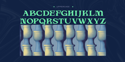 Havox Vintage Font Poster 3