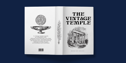 Havox Vintage Font Poster 7