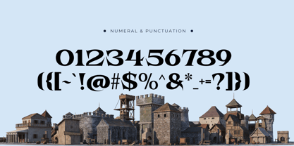 Havox Vintage Font Poster 8