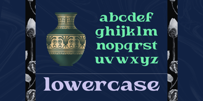 Havox Vintage Font Poster 5