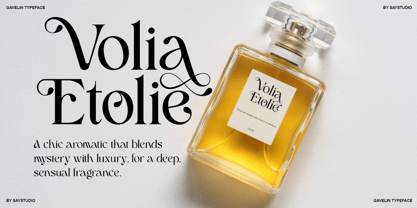 Gavelin Font Poster 10