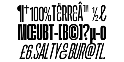 Kimotto Condensed Font Poster 9