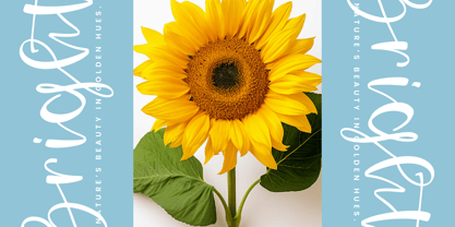 Tasty Snack Font Poster 7