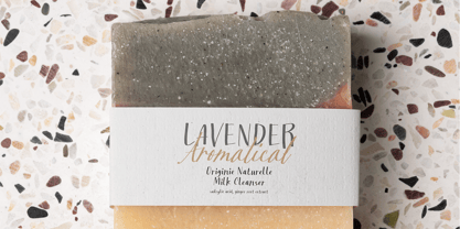 Dusty Garden Font Poster 5