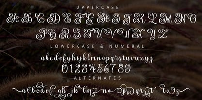 The Mountaine Font Poster 3