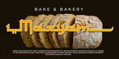 Salahuddin Font Poster 4