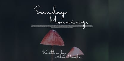 Healing Fairy Font Poster 6