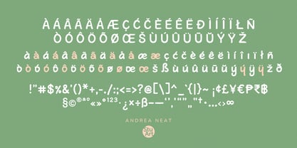 Andrea Neat Font Poster 9