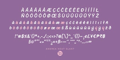 Andrea Neat Font Poster 11