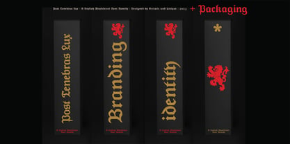 Post Tenebras Lux Font Poster 9