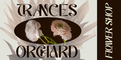 Reoctav Font Poster 6