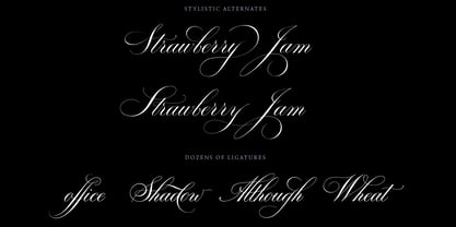 Bodega Script Font Poster 4