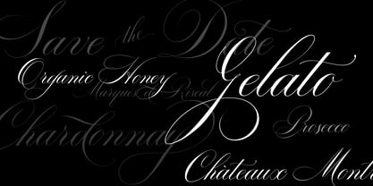 Bodega Script Font Poster 3