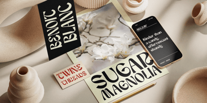 Arcemy Font Poster 4