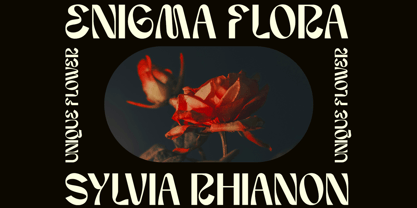 Arcemy Font Poster 2