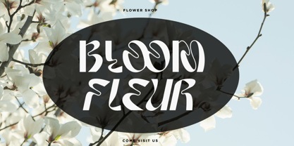 Croona Font Poster 9