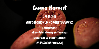 Guava Harvest Font Poster 13