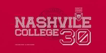 Absolute Glory Champ Font Poster 3