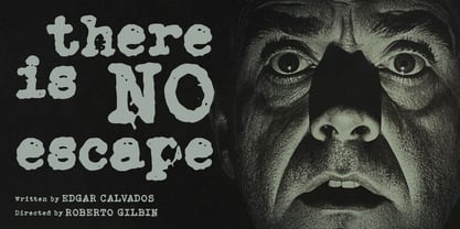 Remifive Font Poster 2