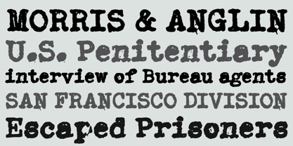 Remifive Font Poster 5