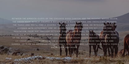 Thorn And Thistle Font Poster 9