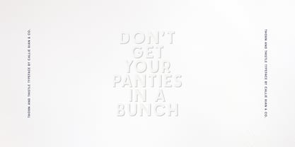 Thorn And Thistle Font Poster 7