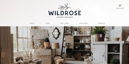 Thorn And Thistle Font Poster 3