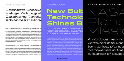 Halogen Pro Font Poster 12