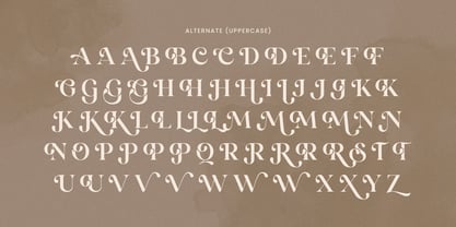 Mirado Font Poster 10