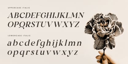 Mirado Font Poster 13