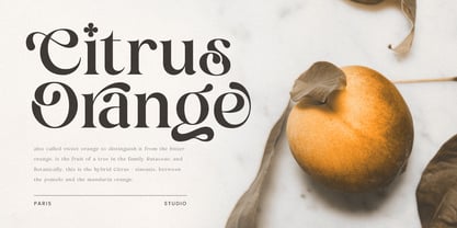 Mirado Font Poster 4